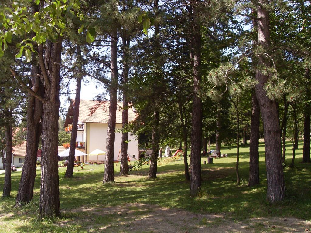 Guest House Colovic Zlatibor Extérieur photo